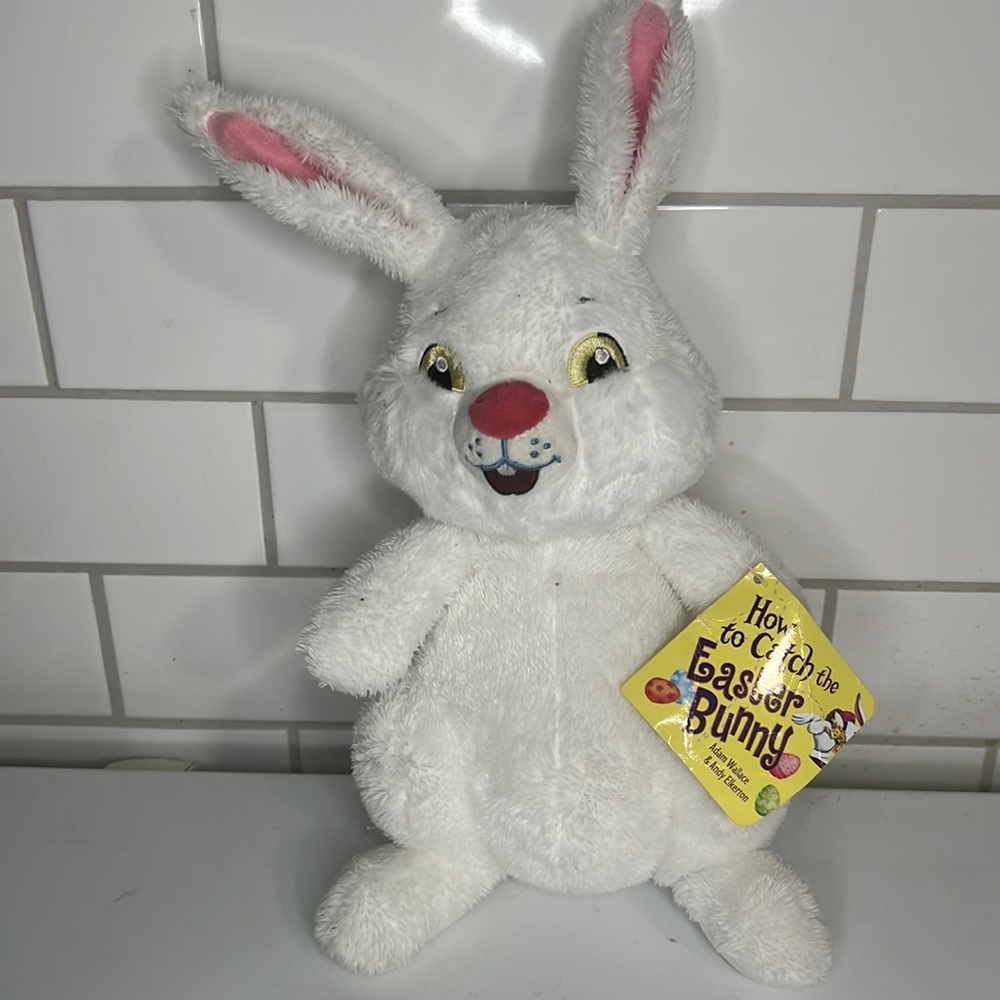 10" Kohl's Cares How to Catch The Easter BUNNY Rabbit White Plush Toy